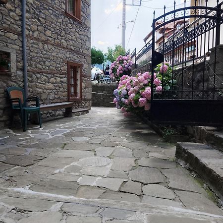 Arka Metsovo Hotel Exterior foto